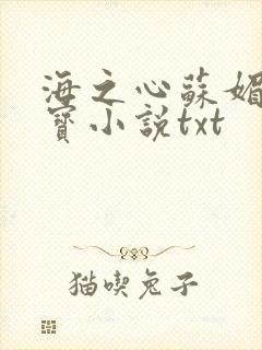 海之心苏媚赵大宝小说txt