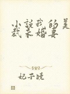 小说我的美女总裁未婚妻封面