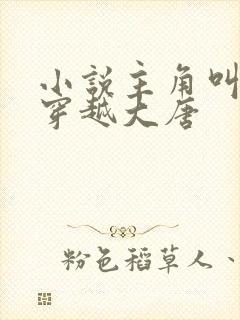 小说主角叫李易穿越大唐