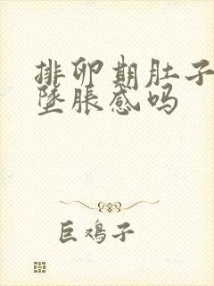 排卵期肚子会有坠胀感吗封面