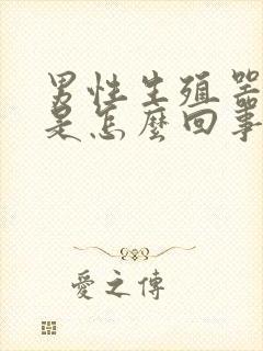 男性生殖器发痒是怎么回事封面