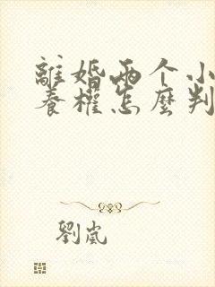 离婚两个小孩抚养权怎么判定