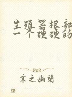 生殖器根部起了一个硬硬的疙瘩