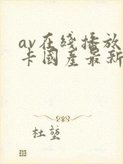 av在线播放不卡国产最新