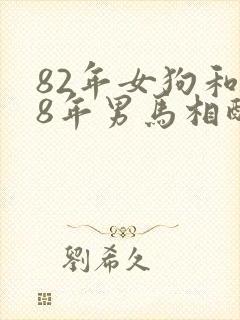 82年女狗和78年男马相配婚姻如何