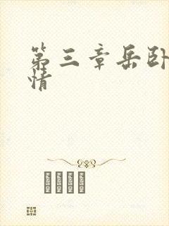 第三章岳卧室激情