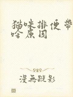 猫咪排便带血是啥原因