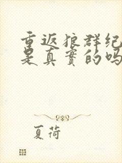 重返狼群纪录片是真实的吗