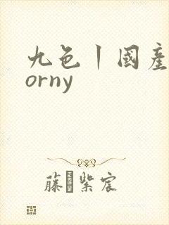 九色丨国产丨porny