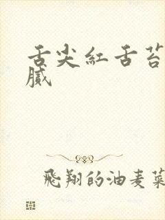 舌尖红舌苔黄厚腻