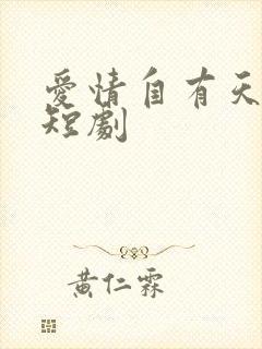 爱情自有天意2短剧