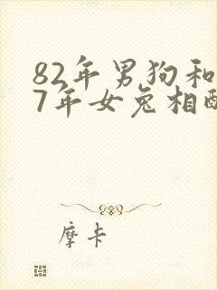 82年男狗和87年女兔相配婚姻如何