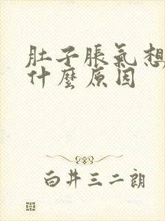 肚子胀气想吐是什么原因