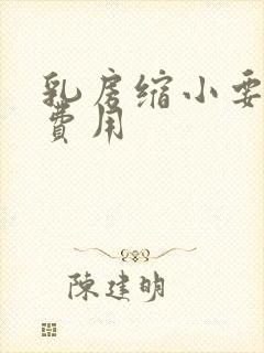 乳房缩小要多少费用