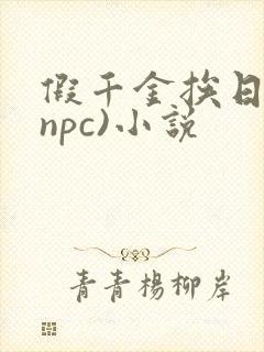 假千金挨日记(npc)小说