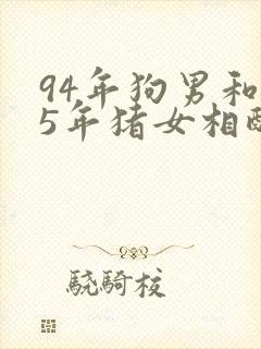 94年狗男和95年猪女相配婚姻如何封面
