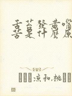 舌苔发黄嘴里发苦是什么原因