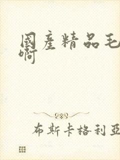 国产精品毛片啊啊