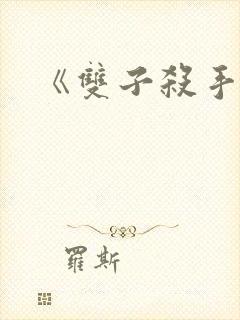 《双子杀手》封面