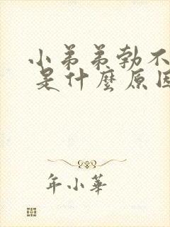 小弟弟勃不起来 是什么原因