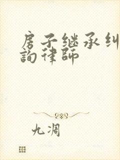 房子继承纠纷咨询律师封面