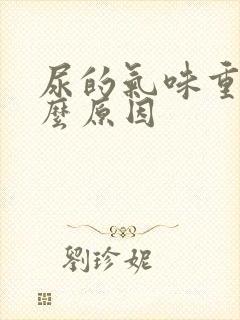 尿的气味重是什么原因