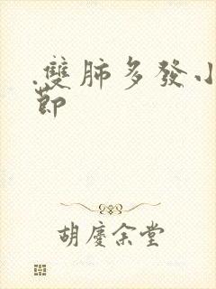 .双肺多发小结节