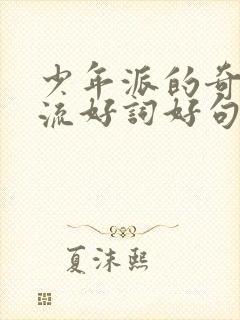 少年派的奇幻漂流好词好句封面