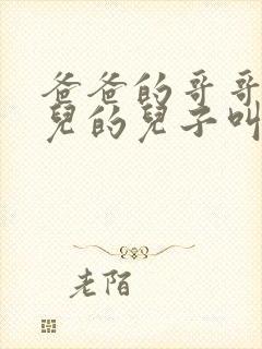 爸爸的哥哥的女儿的儿子叫我什么封面