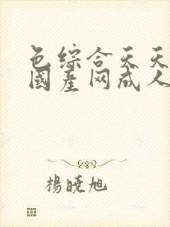 色综合天天综合国产网成人网