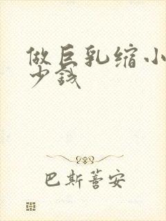 做巨乳缩小术多少钱