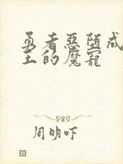 勇者恶堕成为魔王的魔宠封面