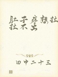 肚子疼想拉粑粑拉不出