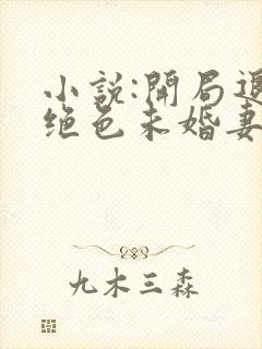 小说:开局退婚绝色未婚妻