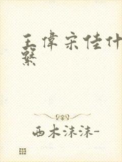 王伟宋佳什么关系