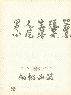 男人生殖器上有小疙瘩是怎么回事封面