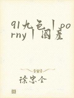91九色丨porny丨国产