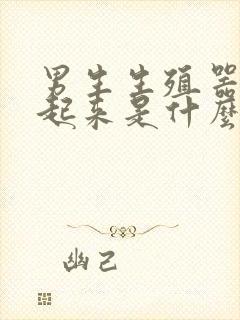 男生生殖器硬不起来是什么原因