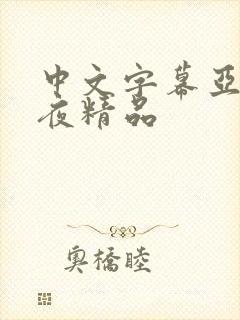 中文字幕亚洲午夜精品