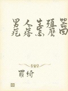 男人生殖器起小疙瘩怎么回事