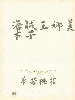 海贼王娜美同人本子封面