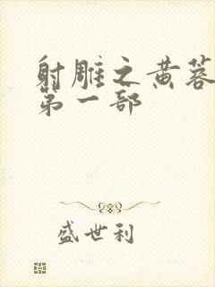 射雕之黄蓉新传第一部封面