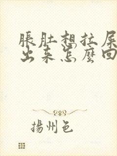 胀肚想拉屎拉不出来怎么回事