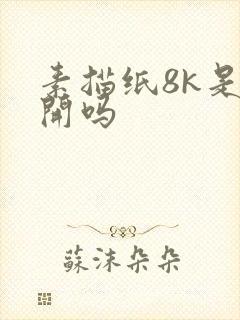 素描纸8k是8开吗