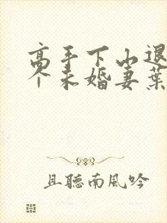 高手下山退婚九个未婚妻叶辰封面