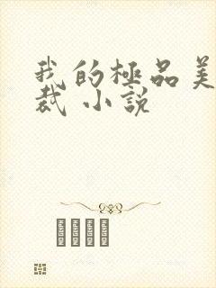 我的极品美女总裁 小说
