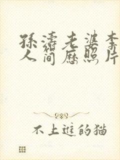 孙涛老婆李莉个人简历照片封面