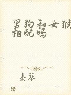 男狗和女猴婚姻相配吗封面