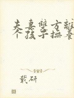 夫妻双方离婚两个孩子抚养权怎么判封面