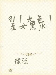 91丨九色丨国产女黑jk封面
